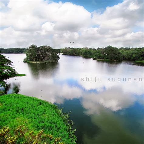 Cranium Bolts: Karanji Lake, Mysore