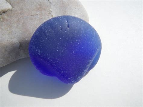 Sea Glass Cobalt Blue Shell Ebay