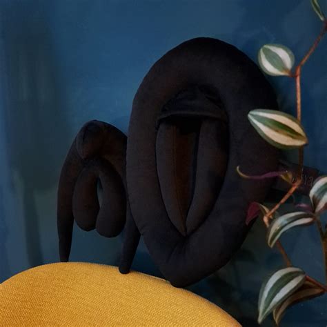 Sex Education Pillows Vulva Clitoris Pillow Set READY TO Ship Black Velvet Puppets For Sex