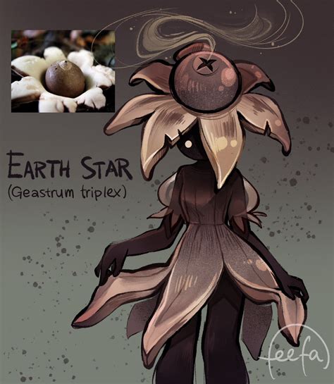 Feef On Twitter Earth Star Fungus Https T Co FVvmQ9hL1X Twitter