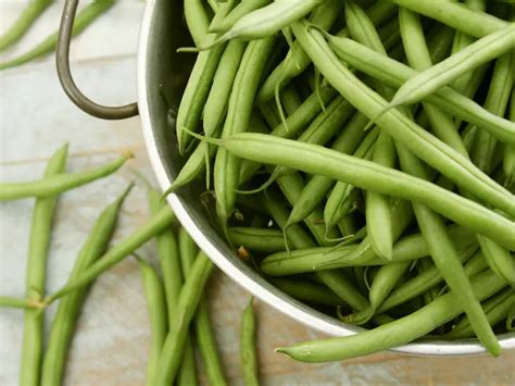 Can Rabbits Eat Green Beans A Comprehensive Guide Rabbit Insider