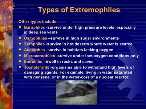 Extremophiles imp. 1