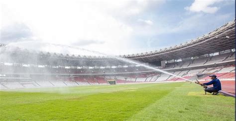 Intip Kondisi Rumput Stadion GBK Jelang Timnas Indonesia Vs Vietnam