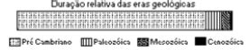 Aio Observe A Escala Do Tempo Geologico Para Identificar