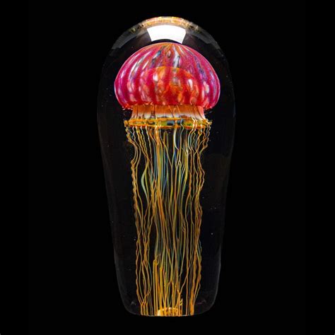 Jellyfish Sculpture Golden Barberry Glass Creel And Gow