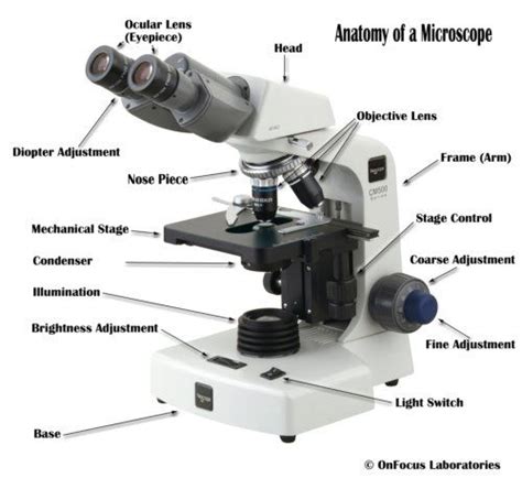 Diagram Of A Microscope And Its Parts Microscope Parts Diagr