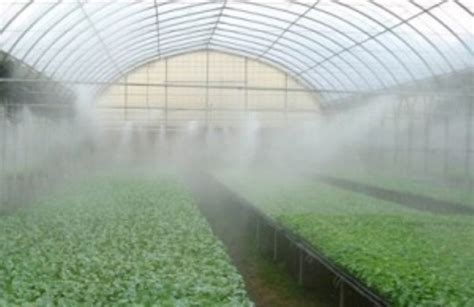 Firmasepeticom Special Fog Systems For Greenhouses