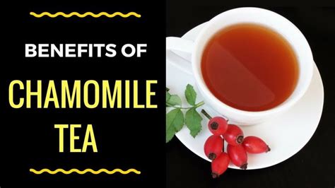 18 Amazing Benefits Of Chamomile Tea For Your Health Chamomile Tea