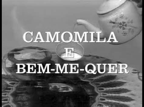 Trecho Da Novela Camomila E Bem Me Quer 1972 1973 YouTube