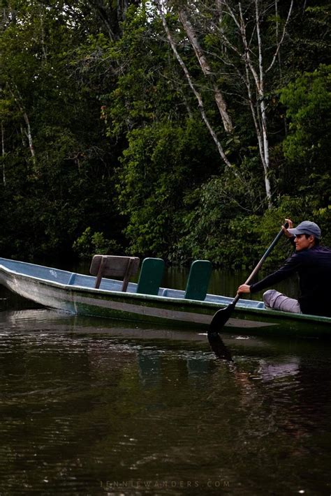 Amazon Tours Ecuador: BEST Cuyabeno Trip From Quito (2023)