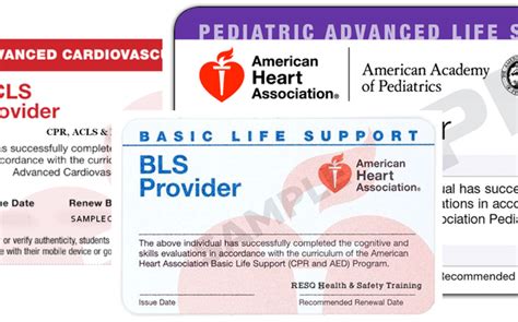 American Heart Association Classes By Saru Ems Education Cpr Acls Bls