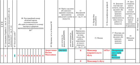 Приклад №6 об'єднаного звіту: Додаток Д5 (декретні)