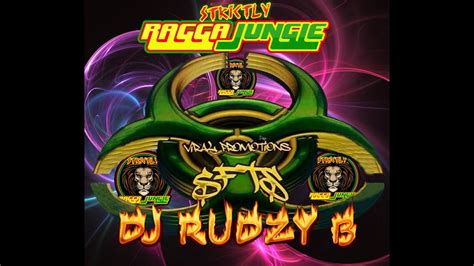 Ragga Jungle Drum And Bass Mix Live Reggae Dnb Ragga