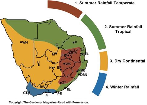 What Vegetables To Plant Now In South Africa