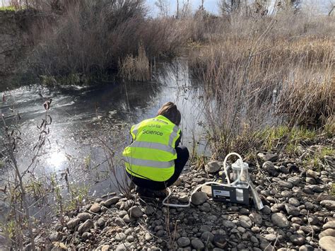 eDNA and The Northern Redbelly Dace | Caring For our watersheds