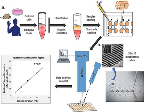 A Schematic Diagram Of The Protocol For Ldi Ms Based Metabolomics For