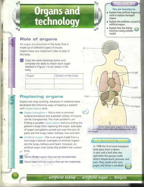 Science Worksheets For Grade 7 — Db