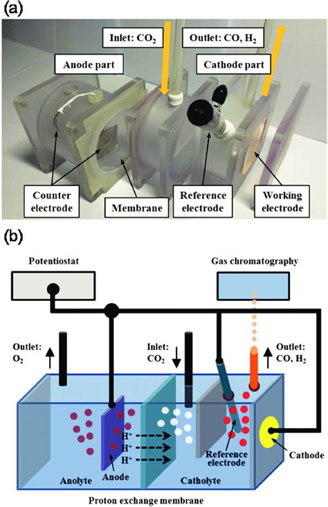 Diagram Of Electrochemical Cell