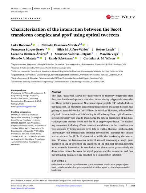 Characterization Of The Interaction Between The Sec61 Translocon