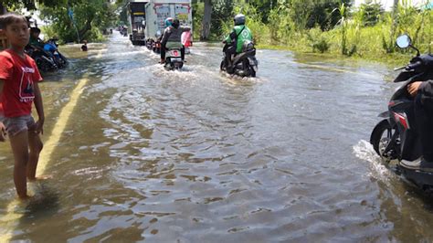 Update Banjir Hari Ke Tujuh Di Gresik Dua Kecamatan Masih Tergenang