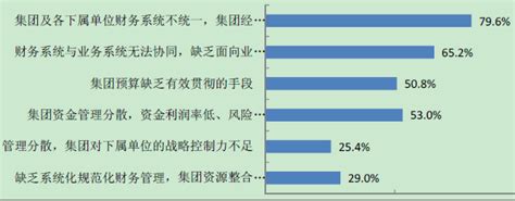 目前中国集团管理信息化面临的主要问题 中为观察 中为咨询中国最为专业的行业市场调查研究咨询机构公司