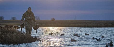 Ten Ways to Improve Your Decoys | Ducks Unlimited