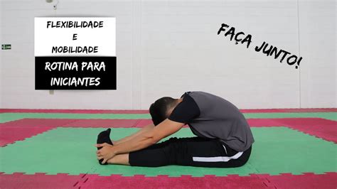 Rotina De Flexibilidade E Mobilidade Para Iniciantes FaÇa Junto Alongamentos Youtube