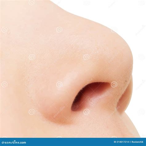 Baby nose stock photo. Image of nose, skin, young, human - 214017214