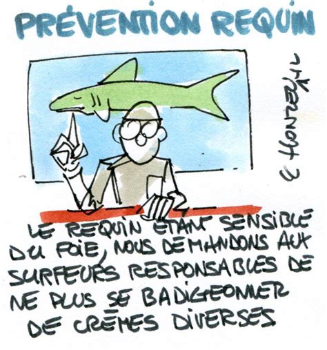 Attaques de requins à la Réunion l écologiste moderne pire prédateur