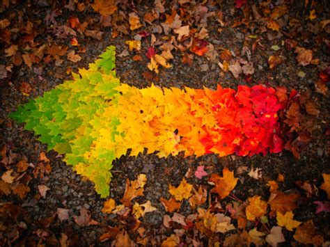Autumn ☆ - Autumn Wallpaper (32342283) - Fanpop