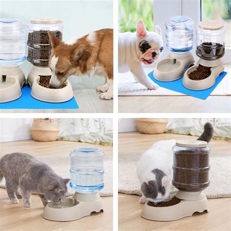 Paquete De Alimentadores Autom Ticos Para Gatos Y Dispensador De Agua