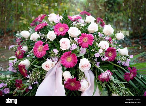 Rosas P Rpuras Y Rosadas Y Gerbera Como Flores Funerarias En Una Tumba