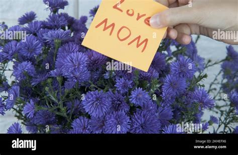 Mum symbol Stock Videos & Footage - HD and 4K Video Clips - Alamy