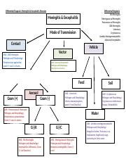 Differential Diagnosis of Meningitis & Encephalitis: Causes, | Course Hero