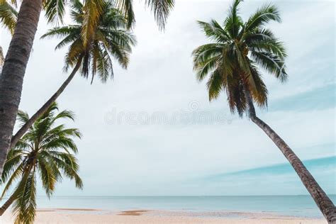 Naturaleza Tropical Playa Limpia Y Arena Blanca En Verano Con Cielo