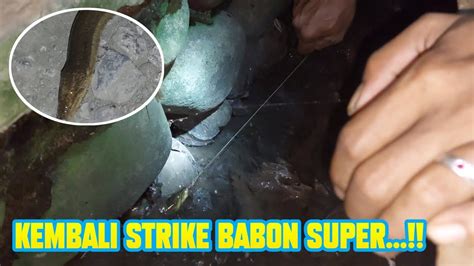 Mantap ‼️ Mancing Belut Malam Hari Strike Babon Super Di Got Perumahan