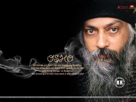 Osho Free Osho Wallpapers Download Now Great Osho Free Wallpapers