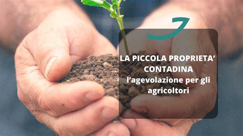 La Piccola Propriet Contadina Lagevolazione Per Agridata Srl