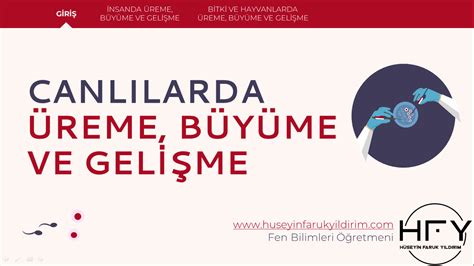 Canlılarda Üreme Büyüme ve Gelişme Slayt 7 Sınıf Hüseyin Faruk