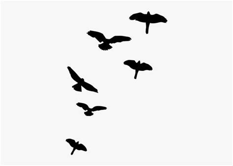 Shadows Of Birds Flying, HD Png Download , Transparent Png Image - PNGitem | Birds flying, Png ...