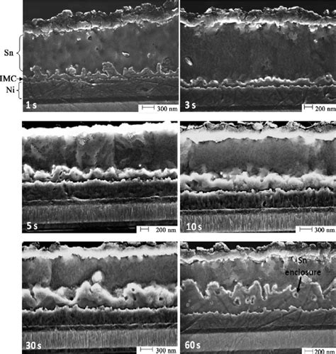 SEM Images Of The Ni Sn Interface And The Developing IMC At A