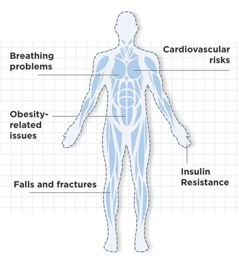 What Is Muscle Mass And Why Is It Key To Your Health Health