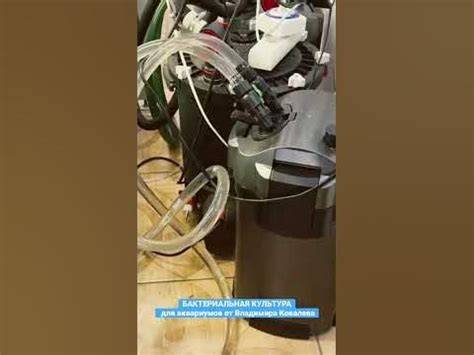 🦠 Живые бактерии для аквариума от Владимира Ковалева. #aquarium # ...