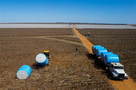 Pib De Mato Grosso Registra A Maior Varia O Percentual Do Pa S E