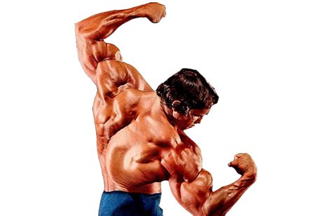 Arnold Schwarzenegger Bodybuilding Png Images Png All