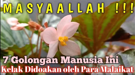 Subhanallah Inilah 7 Golongan Manusia Ini Kelak Didoakan Oleh Para