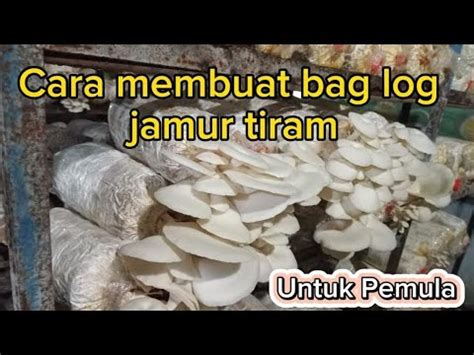 Cara Membuat Bag Log Jamur Tiram Untuk Pemula YouTube