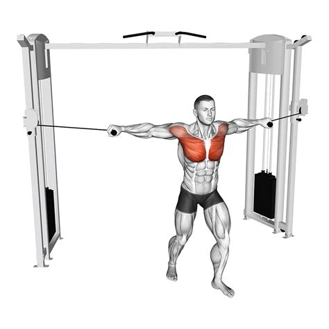 Inclined Cable Chest Fly By Thomas King Exercise How To Off