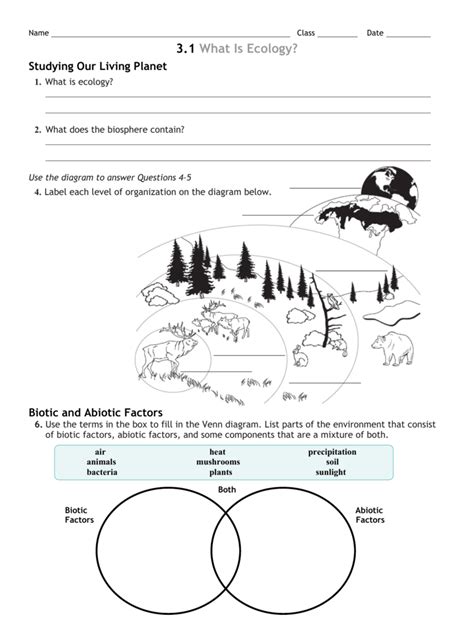 Ecosystem Levels Of Organization Worksheet