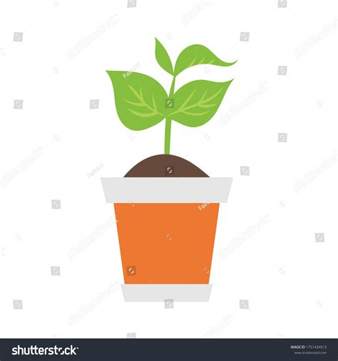 Phases Plant Growing Planting Tree Infographic Stock Vector Royalty